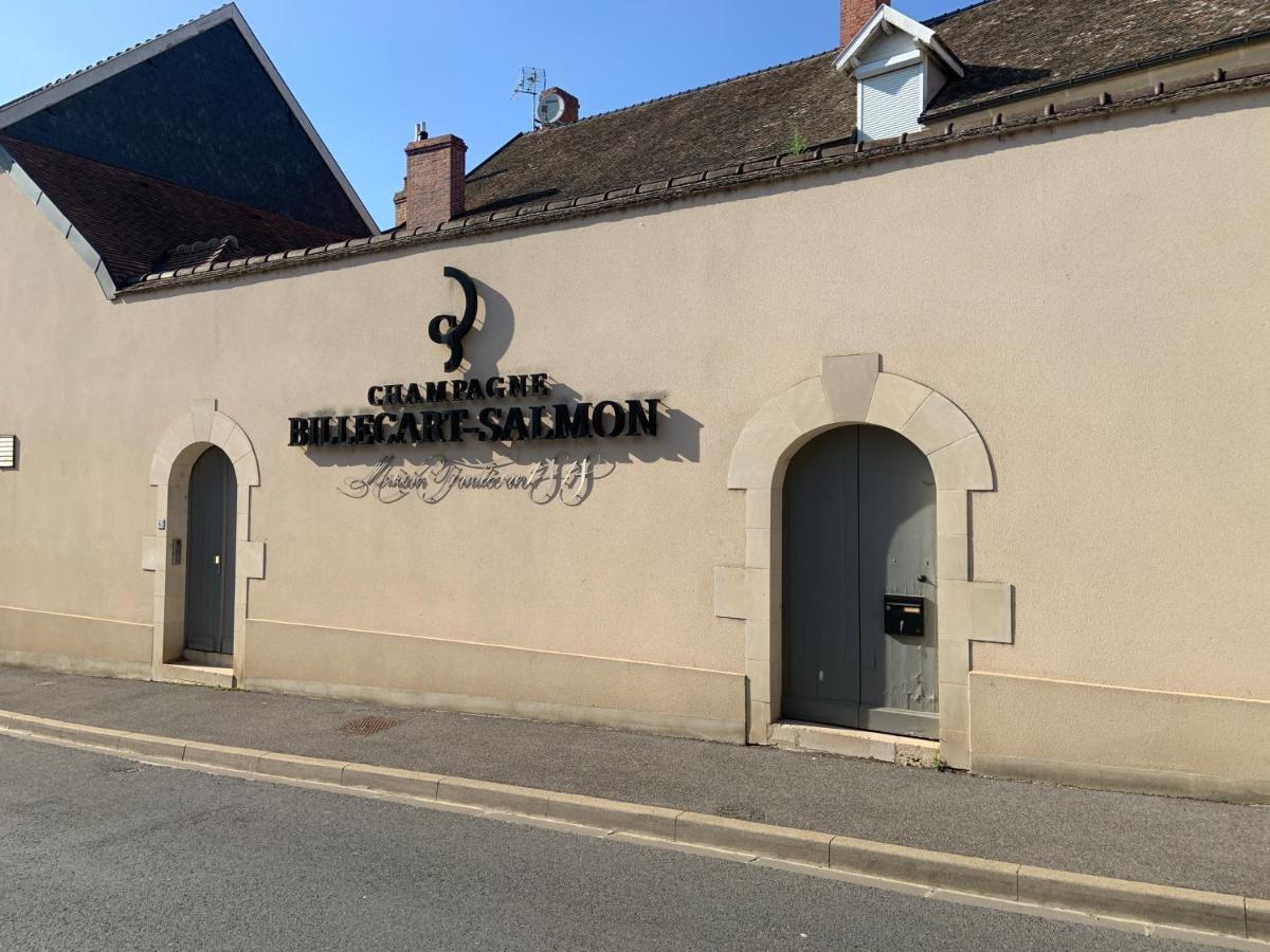 Champagne & Grand Cru Apartment Ay-Champagne Luaran gambar