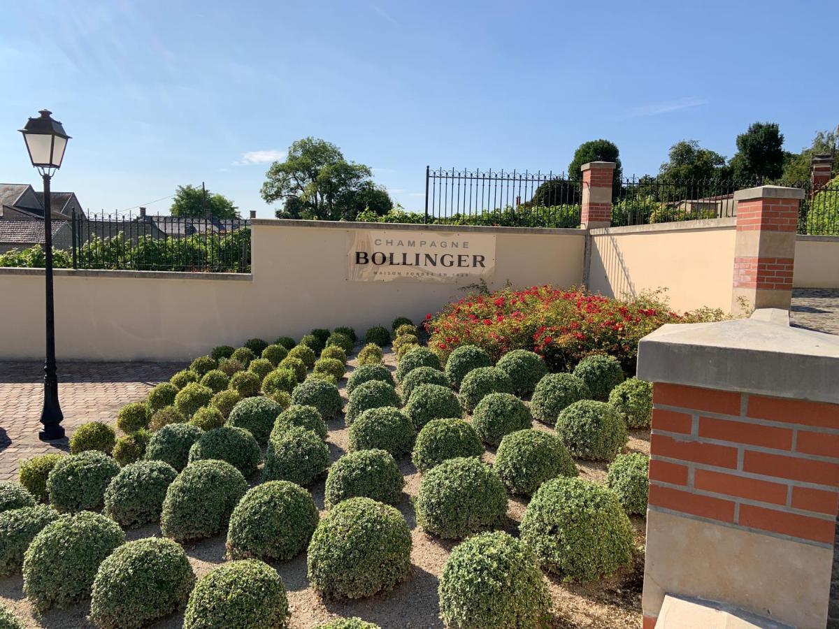 Champagne & Grand Cru Apartment Ay-Champagne Luaran gambar