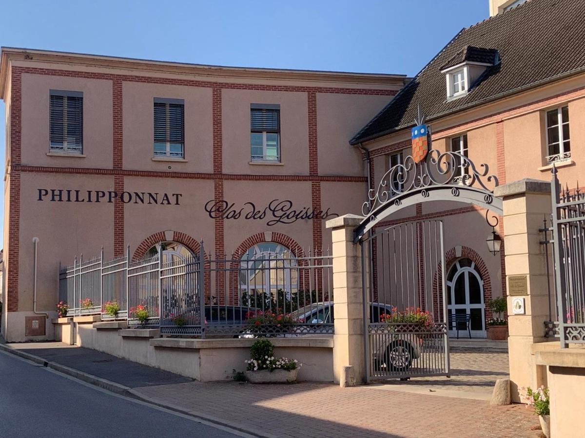 Champagne & Grand Cru Apartment Ay-Champagne Luaran gambar